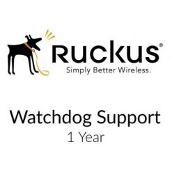 Ruckus 802-1205-1000