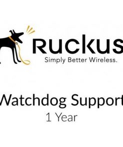 Ruckus 802-1205-1000