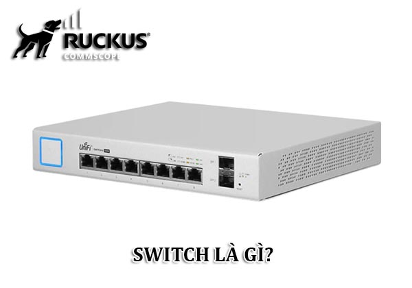 SWITCH LÀ GÌ